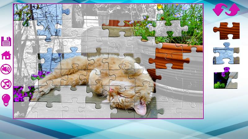 Schermata Big puzzles with cats 2