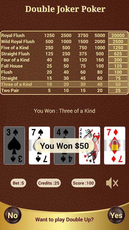 Double Joker Poker Ảnh chụp màn hình 1