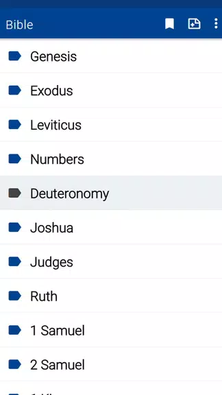 Schermata Spurgeon Bible Commentary 1