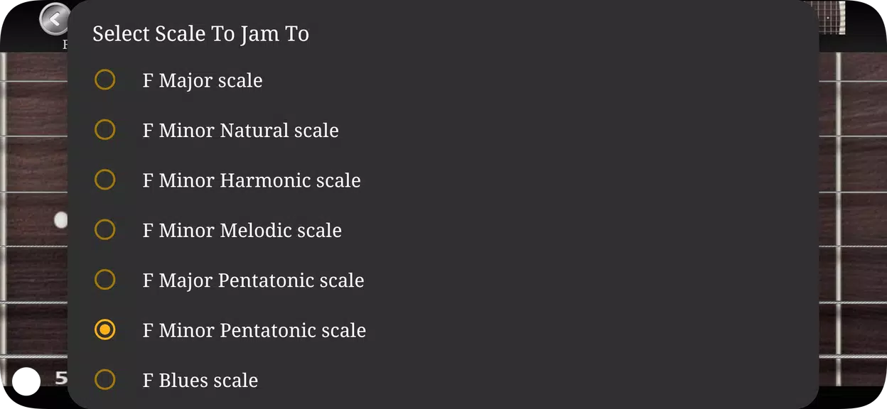 Guitar Scales & Chords Screenshot 2