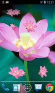 Lotus Live Wallpaper Schermafbeelding 0