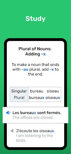 Wlingua - Learn French ภาพหน้าจอ 1