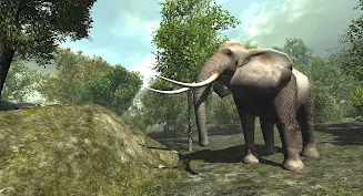 VR ZOO Safari Park Animal Game স্ক্রিনশট 3