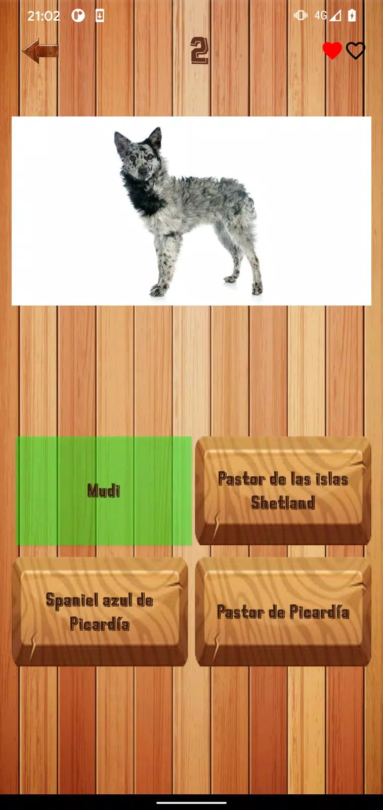 Schermata Guess dog breed 1