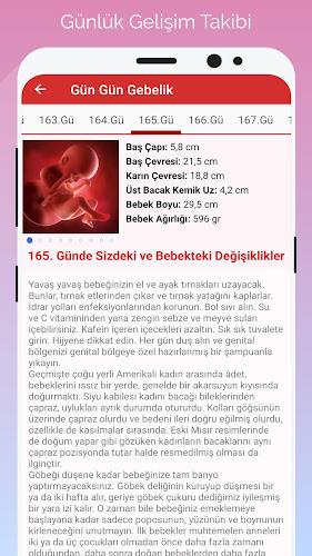 Gün Gün Gebelik Takibi Captura de tela 2