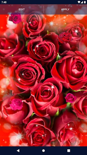 Red Rose Live Wallpaper स्क्रीनशॉट 1