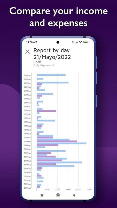 Daily Expenses 4 Zrzut ekranu 1