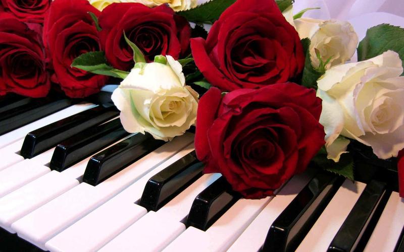 Roses Jigsaw Puzzles スクリーンショット 0