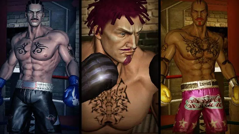 Punch Boxing 3D 스크린샷 2