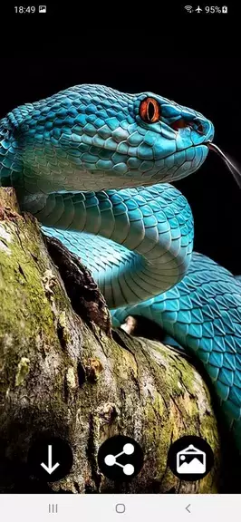 Snake Wallpapers स्क्रीनशॉट 0