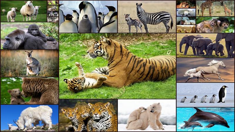 Baby Animal Jigsaw Puzzles स्क्रीनशॉट 0