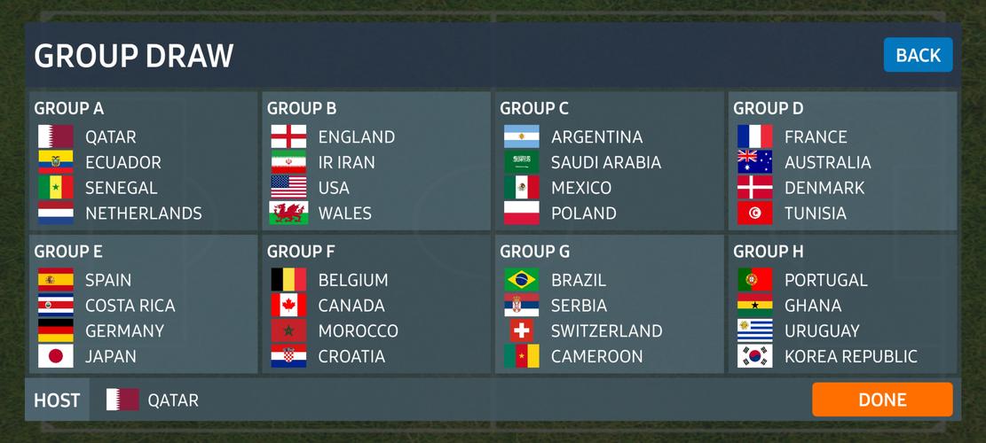 World Football Simulator Tangkapan skrin 1