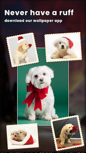 Puppy Love: Cute Dog Wallpaper Captura de pantalla 1