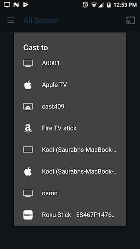 Schermata All Screen Cast to TV Roku 2