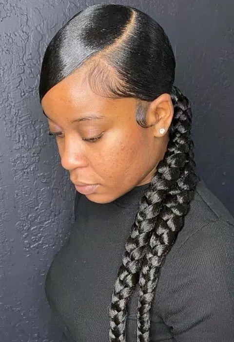 Sleek Braided Ponytail Styles Captura de tela 0