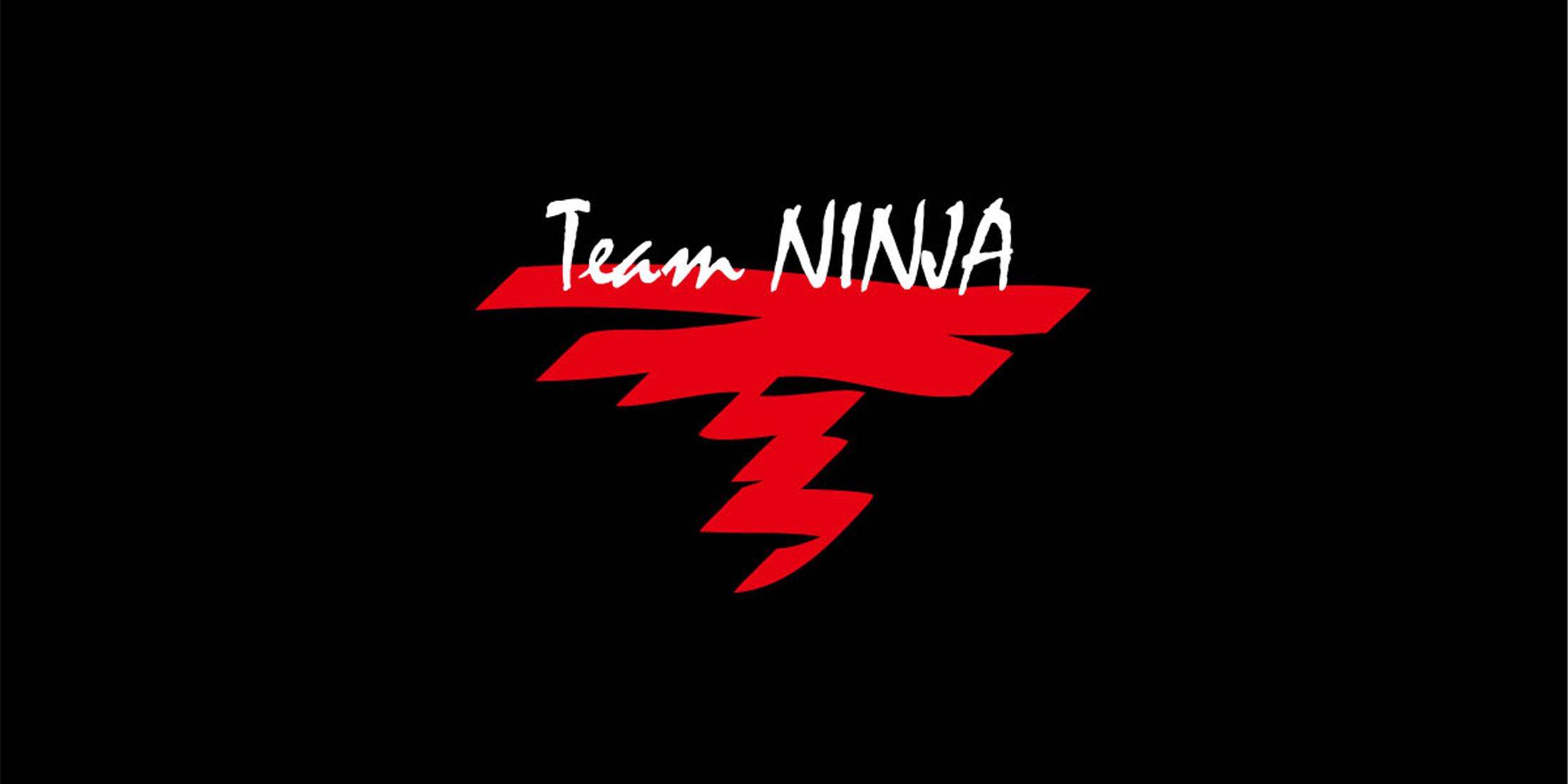 Team Ninja Unveils Exciting 30th Celebration