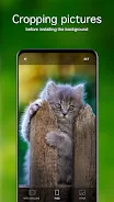 Kitten Wallpapers 4K ภาพหน้าจอ 3