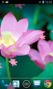 Lotus Live Wallpaper Ảnh chụp màn hình 1