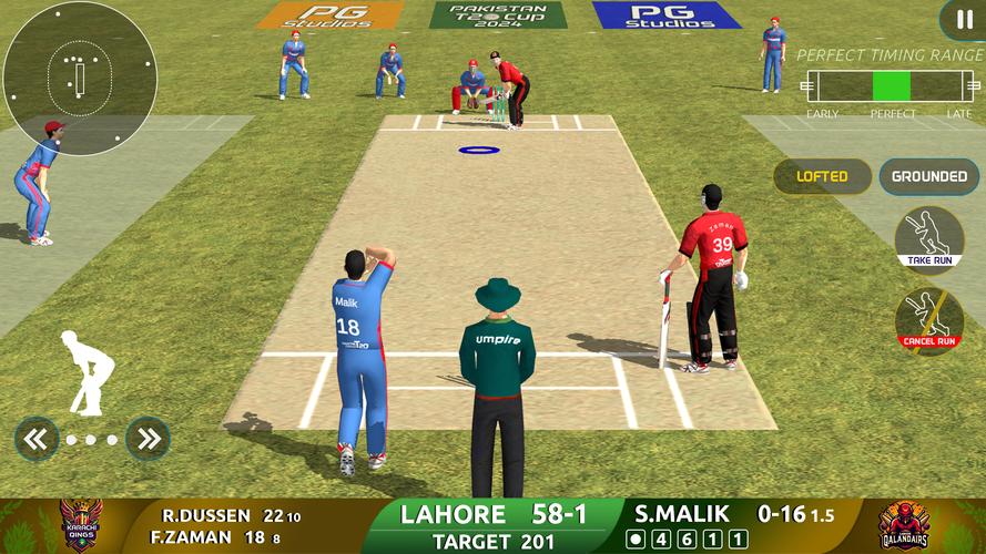 Cricket Game: Pakistan T20 Cup Screenshot 0