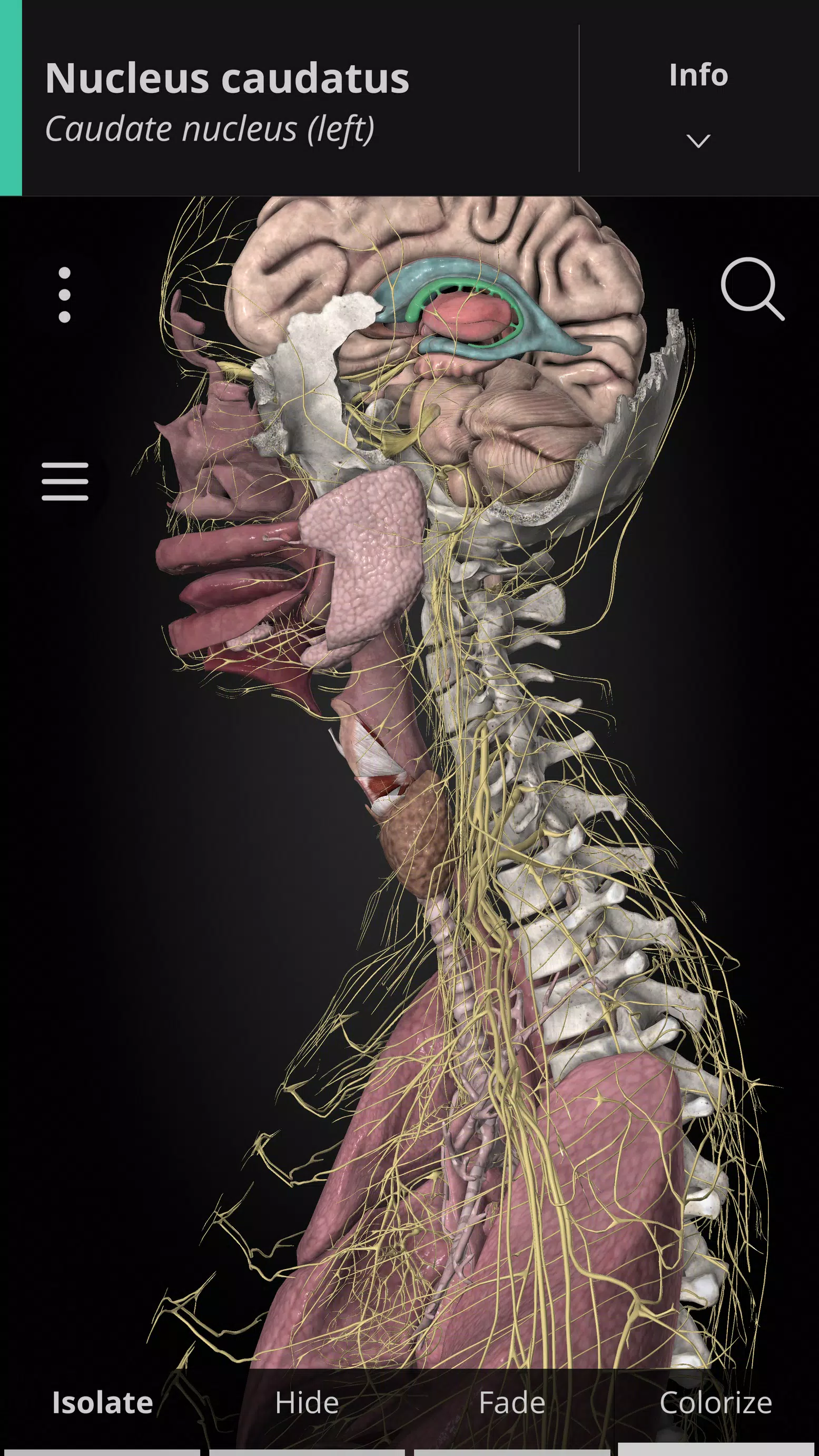 Anatomyka - 3D Anatomy Atlas應用截圖第0張