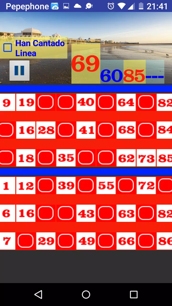 Bingo Caletero Screenshot 2