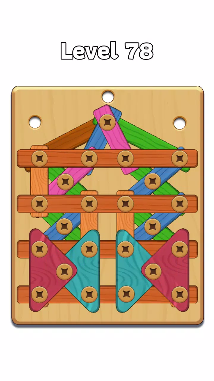 Wood Nuts & Bolt: Screw Puzzle Ảnh chụp màn hình 2