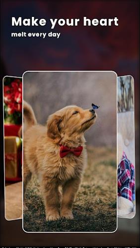 Puppy Love: Cute Dog Wallpaper Captura de pantalla 2