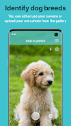 Dog Scanner: Race du chien Capture d'écran 0