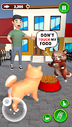 Schermata Cat Life Choices Pet Simulator 1