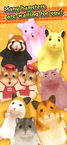 Hamster Valley 스크린샷 3