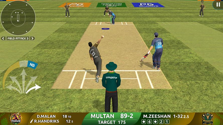 Cricket Game: Pakistan T20 Cup Screenshot 1