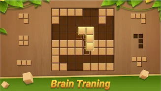 Block Puzzle - Wood Blast Schermafbeelding 0