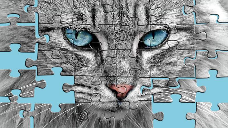 Big puzzles with cats Schermafbeelding 0