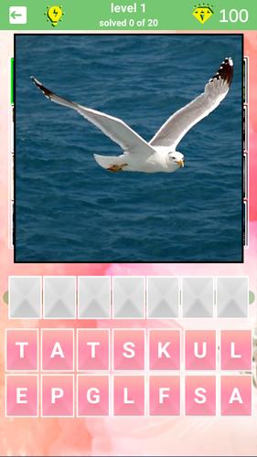 800 words應用截圖第3張