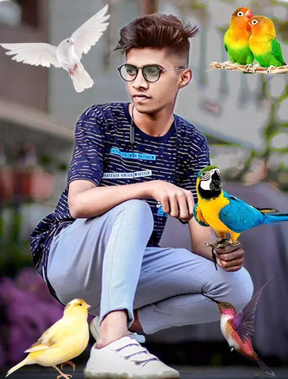 Birds Photo frame : Bird photo應用截圖第2張