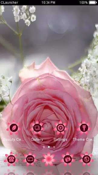 Pretty Pink Rose Theme Скриншот 2