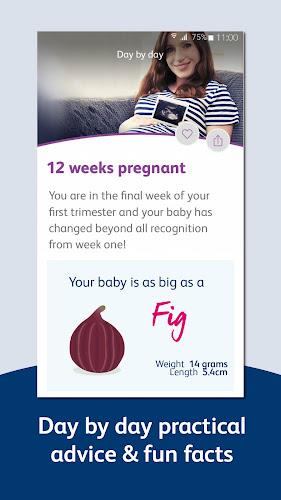 Bounty - Pregnancy & Baby App Capture d'écran 2