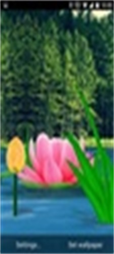 Flower Live Wallpaper 3D स्क्रीनशॉट 1