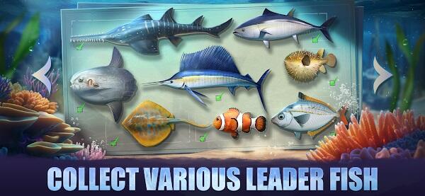 Top Fish: Ocean Game ဖန်သားပြင်ဓာတ်ပုံ 2