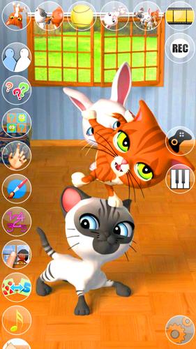 Talking 3 Friends Cats & Bunny Captura de pantalla 1