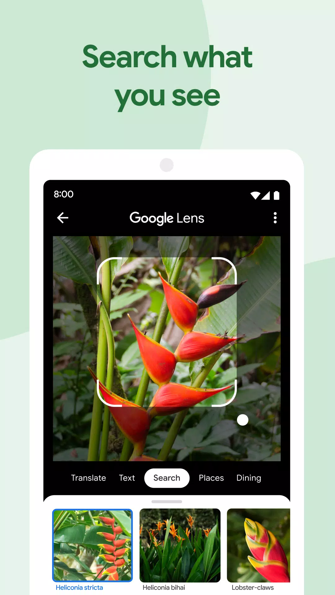 Google Photos Screenshot 2