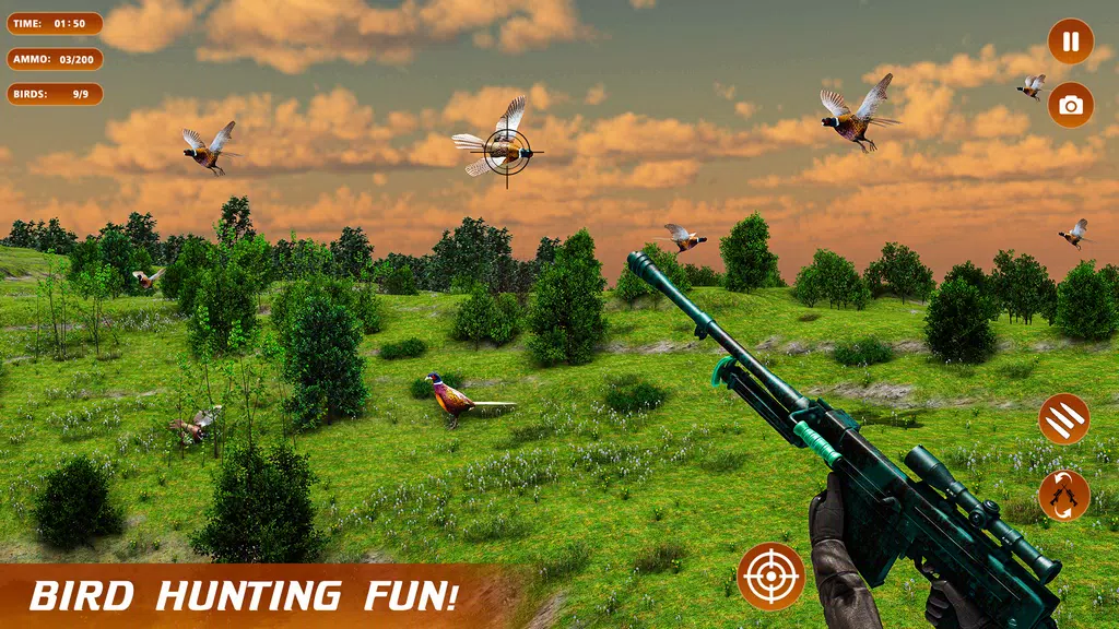 Pheasant Shooter Birds Hunting Ảnh chụp màn hình 3