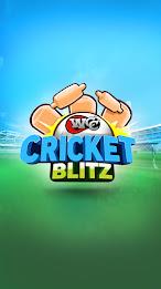 WCC Cricket Blitz Captura de pantalla 0