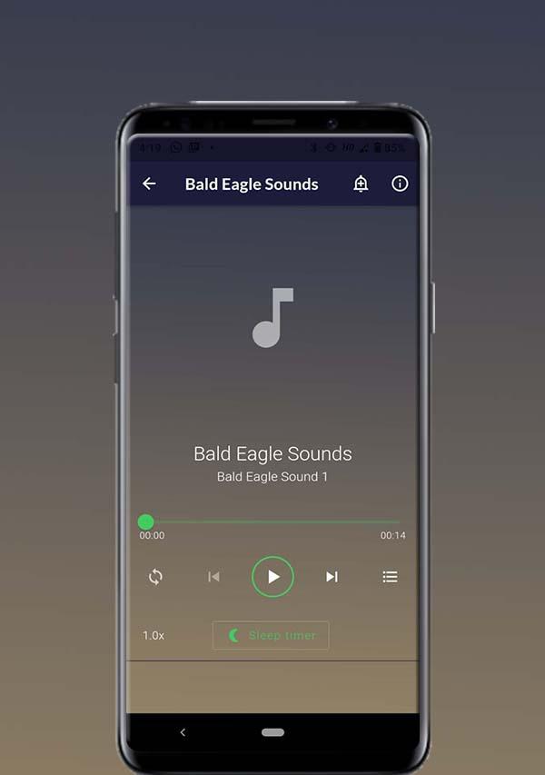 Bald Eagle Sounds Screenshot 1