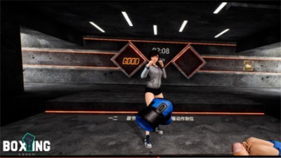 Boxing Coach Screenshot 1