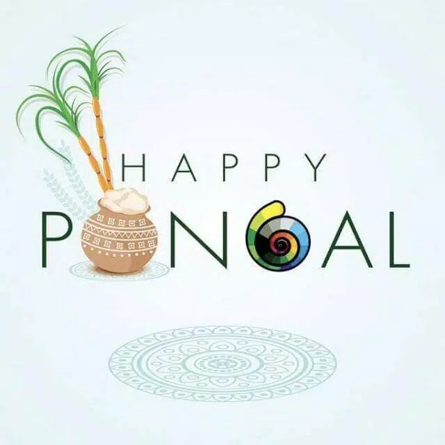 Happy Pongal Wishes ภาพหน้าจอ 0