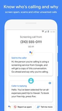 Schermata Phone by Google 1