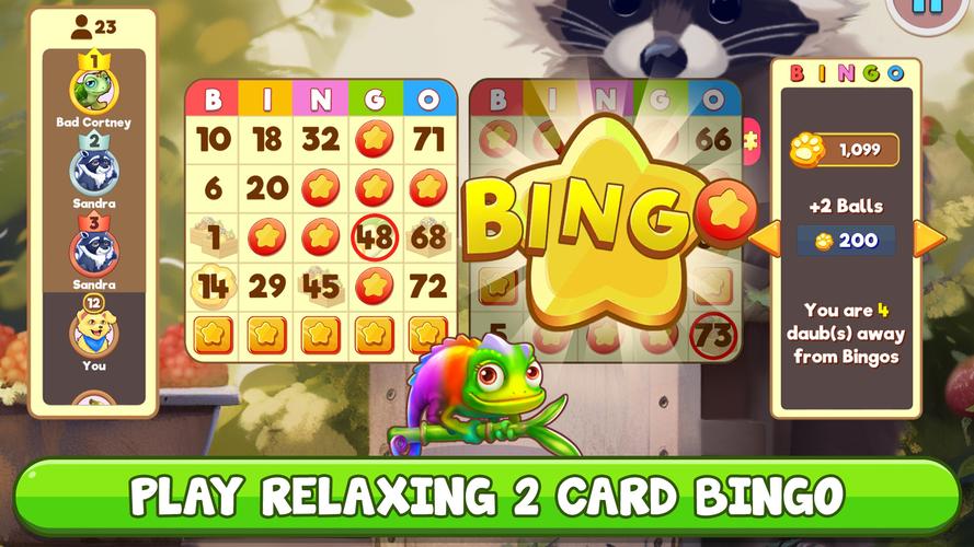 Bingo:  Free the Pets ဖန်သားပြင်ဓာတ်ပုံ 1