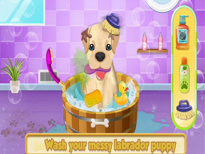 Cute Pet Dog Training Care應用截圖第0張