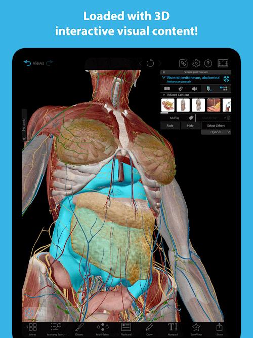 Human Anatomy Atlas 2023 Schermafbeelding 0